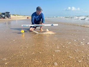 Angler: Allen T Crane | Catch date: 2024-03-11 | State: Texas | Species: Blacktip Shark | Length: 33.00 in