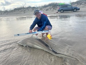 Angler: Allen T Crane | Catch date: 2024-03-11 | State: Texas | Species: Blacktip Shark | Length: 68.50 in