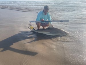 Angler: Allen T Crane | Catch date: 2024-03-11 | State: Texas | Species: Blacktip Shark | Length: 67.00 in