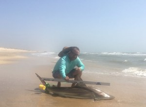 Angler: Allen T Crane | Catch date: 2022-03-11 | State: Texas | Species: Blacktip Shark | Length: 68.00 in