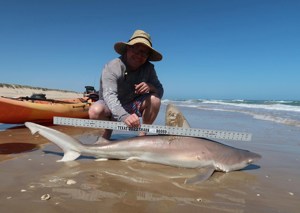 Angler: Allen T Crane | Catch date: 2022-03-11 | State: Texas | Species: Sandbar Shark | Length: 60.00 in