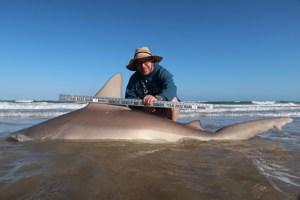 Angler: Allen T Crane | Catch date: 2022-03-11 | State: Texas | Species: Sandbar Shark | Length: 87.00 in