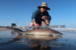 Angler: Allen T Crane | Catch date: 2022-03-11 | State: Texas | Species: Sandbar Shark | Length: 49.00 in