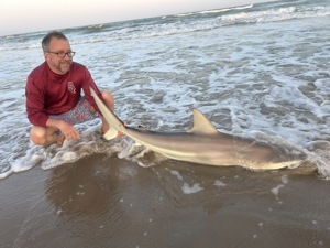 Angler: Allen T Crane | Catch date: 2025-12-20 | State: Texas | Species: Blacktip Shark | Length: 65.00 in