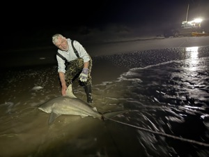 Angler: Stanley | Catch date: 2025-12-20 | State: Texas | Species: Bull Shark | Length: 59.00 in