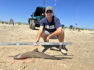 Angler: Walt - Just Bitten | Catch date: 2023-03-26 | State: Texas | Species: Atlantic Sharpnose Shark | Length: 39.50 in