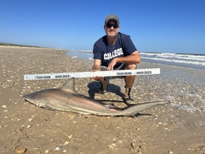 Angler: Walt - Just Bitten | Catch date: 2023-03-26 | State: Texas | Species: Blacktip Shark | Length: 58.00 in