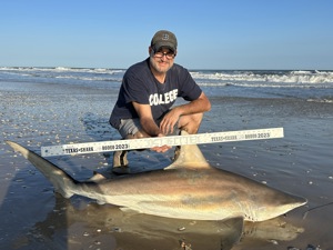 Angler: Walt - Just Bitten | Catch date: 2023-03-26 | State: Texas | Species: Blacktip Shark | Length: 67.50 in