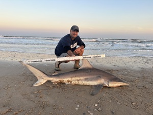 Angler: Walt - Just Bitten | Catch date: 2023-03-26 | State: Texas | Species: Blacktip Shark | Length: 67.00 in