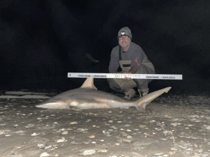 Angler: Walt - Just Bitten | Catch date: 2023-03-26 | State: Texas | Species: Blacktip Shark | Length: 60.00 in