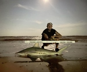 Angler: Walt - Just Bitten | Catch date: 2023-04-02 | State: Texas | Species: Blacktip Shark | Length: 56.00 in