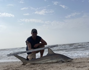 Angler: Walt - Just Bitten | Catch date: 2023-04-15 | State: Texas | Species: Blacktip Shark | Length: 63.00 in