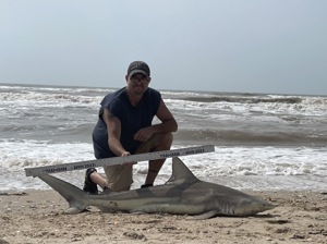 Angler: Walt - Just Bitten | Catch date: 2023-04-15 | State: Texas | Species: Blacktip Shark | Length: 65.00 in