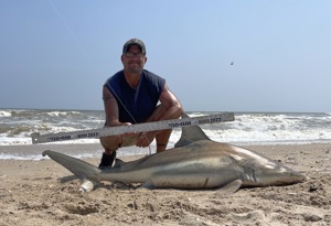 Angler: Walt - Just Bitten | Catch date: 2023-04-15 | State: Texas | Species: Blacktip Shark | Length: 63.00 in