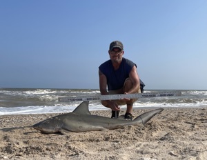 Angler: Walt - Just Bitten | Catch date: 2023-04-15 | State: Texas | Species: Bull Shark | Length: 54.50 in