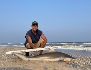 Angler: Walt - Just Bitten | Catch date: 2023-04-15 | State: Texas | Species: Bull Shark | Length: 60.00 in