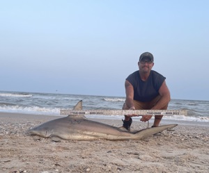 Angler: Walt - Just Bitten | Catch date: 2023-04-15 | State: Texas | Species: Blacktip Shark | Length: 63.00 in
