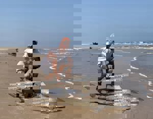 Angler: Walt - Just Bitten | Catch date: 2023-06-15 | State: Texas | Species: Blacktip Shark | Length: 68.00 in