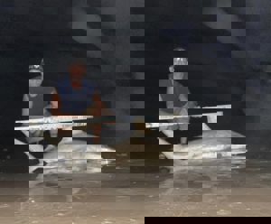 Angler: Walt - Just Bitten | Catch date: 2023-06-15 | State: Texas | Species: Blacktip Shark | Length: 67.50 in