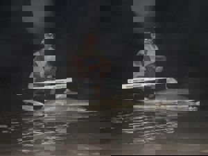 Angler: Walt - Just Bitten | Catch date: 2023-06-15 | State: Texas | Species: Bull Shark | Length: 65.00 in