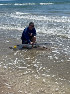 Angler: Allen T Crane | Catch date: 2024-03-13 | State: Texas | Species: Blacktip Shark | Length: 65.50 in