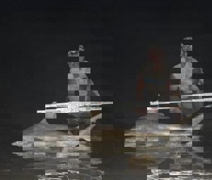 Angler: Walt - Just Bitten | Catch date: 2023-06-15 | State: Texas | Species: Blacktip Shark | Length: 68.00 in