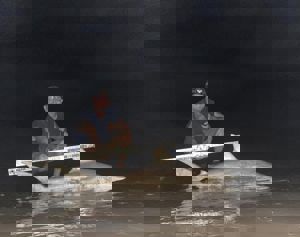 Angler: Walt - Just Bitten | Catch date: 2023-06-15 | State: Texas | Species: Blacktip Shark | Length: 64.50 in