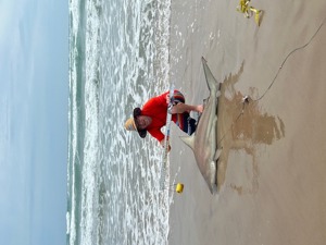 Angler: Allen T Crane | Catch date: 2026-04-09 | State: Texas | Species: Blacktip Shark | Length: 60.00 in