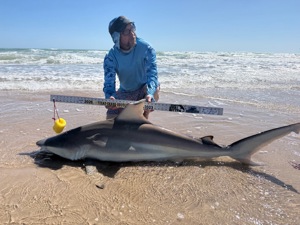 Angler: Allen T Crane | Catch date: 2026-03-21 | State: Texas | Species: Blacktip Shark | Length: 65.00 in