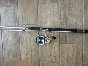 Type: Reels | Item: Reels